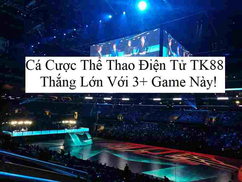 Cá cược thể thao điện tử TK88